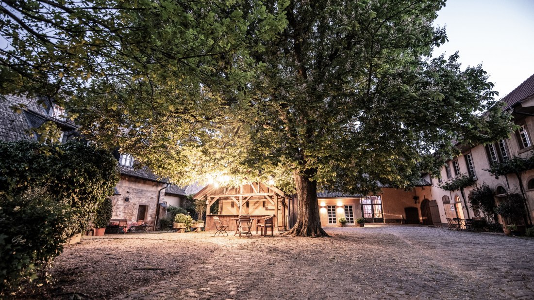 WagnerStempel_HOF_Kastanie_05b WagnerStempel_HOF_Kastanie_05b