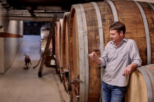 © Weingut Sander © Weingut Sander