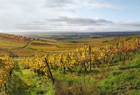 Zornheimer Berg © Hiltrud Hollich Zornheimer Berg © Hiltrud Hollich