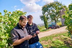 Weingut Geil_Winzer, © Weingut Geil Weingut Geil_Winzer, © Weingut Geil