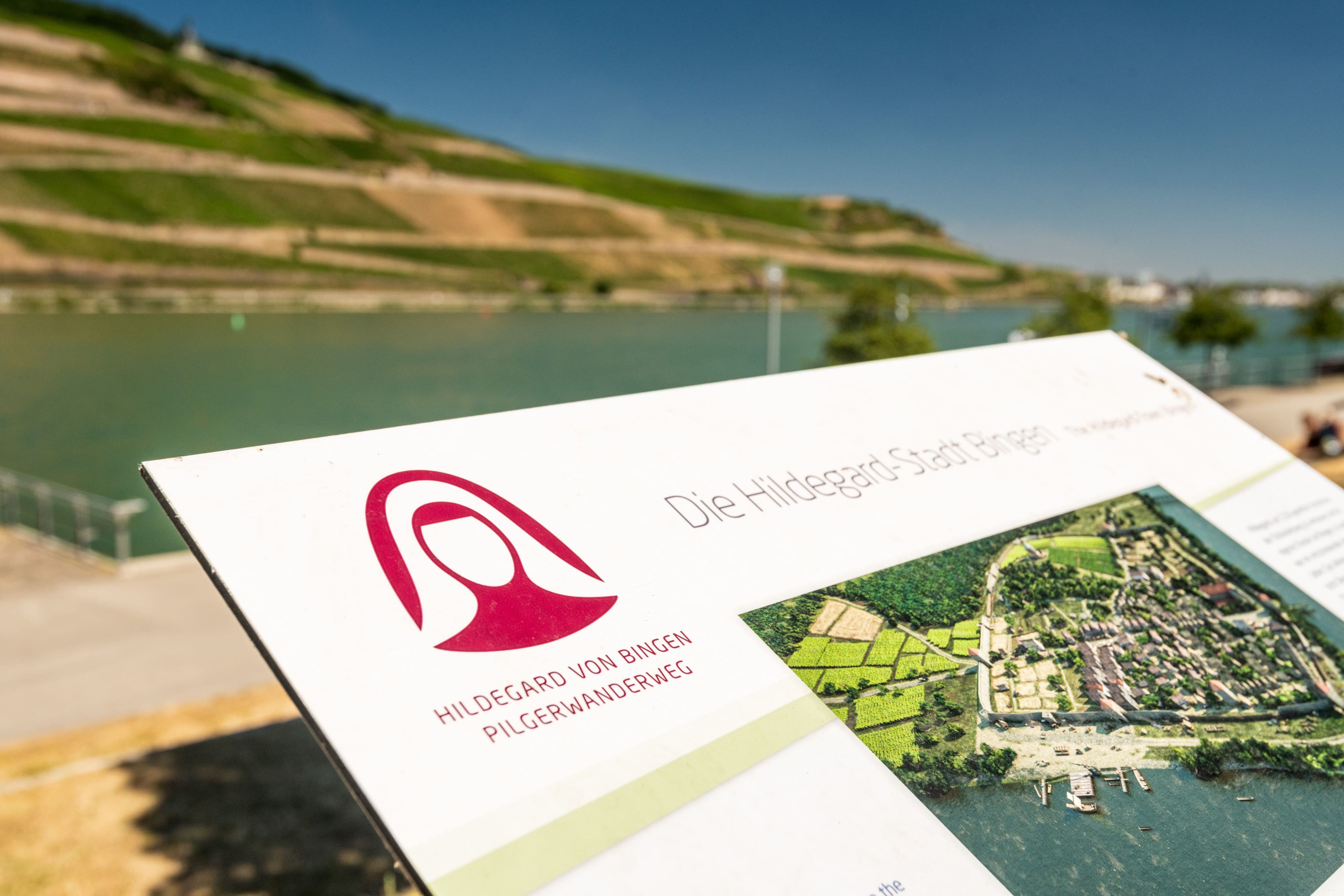 Hinweisschild am Rhein zum Hildegard von Bingen Pilgerwanderweg mit Logo, Karte und Blick auf Weinberge und den Fluss unter blauem Himmel.