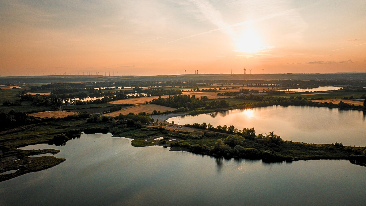 Naturschutzgebiet mit seltenen Pflanzen