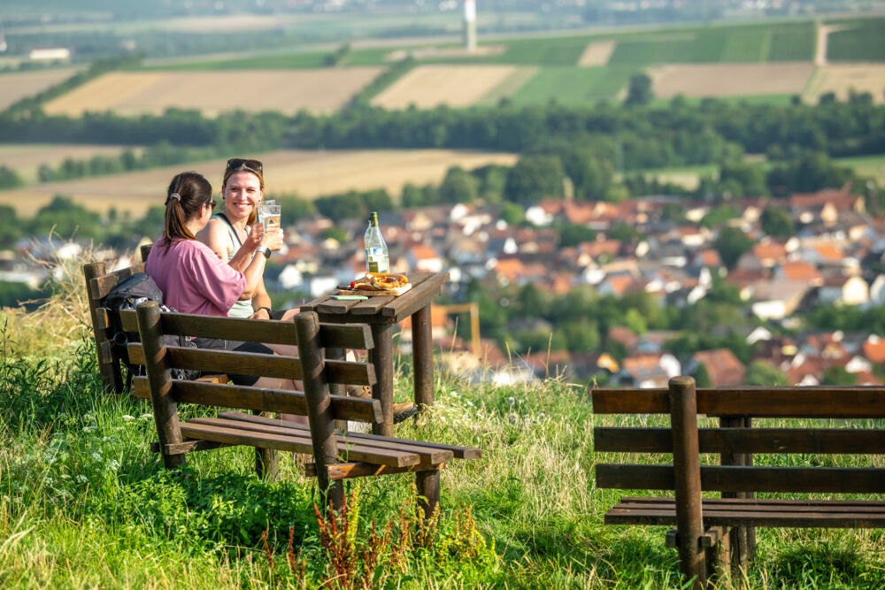 Weinprobe mit rheinhessischen Weinen