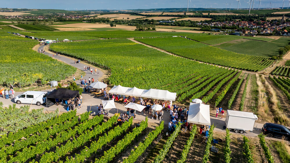 Luftaufnahme einer Veranstaltung inmitten von Weinbergen. Mehrere Pavillons und Sonnenschirme stehen entlang eines Weges zwischen den Rebreihen. Viele Menschen versammeln sich dort, während sich die Weinberge über die umliegenden Hügel erstrecken. In der Ferne sind Felder, ein Dorf und mehrere Windräder zu sehen.