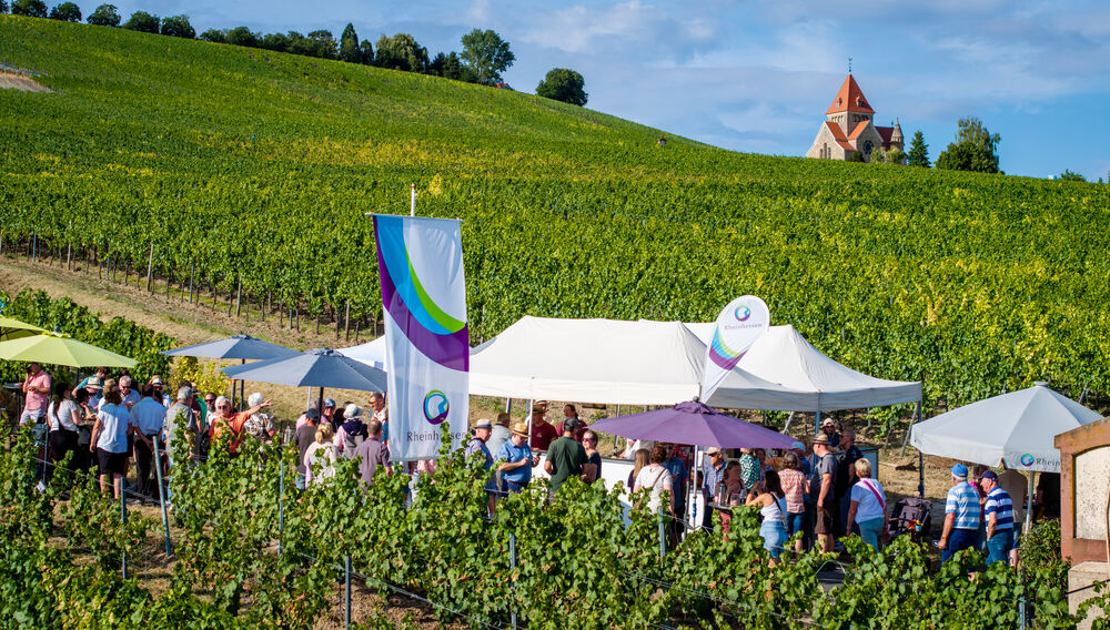 Viele Menschen stehen und sitzen unter Pavillons und Sonnenschirmen bei einer Veranstaltung inmitten von Weinbergen. Fahnen mit dem Rheinhessen-Logo sind aufgestellt. Im Hintergrund erstrecken sich die Rebreihen über einen Hügel, auf dessen Kuppe eine Kirche steht. Die Szene zeigt ein Weinfest oder eine Weinveranstaltung in einer sonnigen Landschaft.