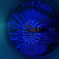 Riesenrutsche mit Licht- und Toneffekt