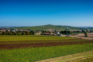 Biebelnheimer Pilgerstein, &copy; Torsten Silz
