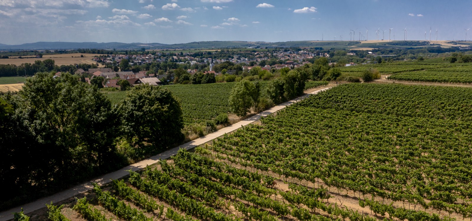 Monsheimer Rosengarten