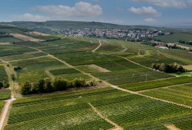 Aspisheimer Sonnenberg