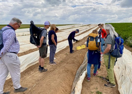 Spargel & Wein &copy; Guido Borowski