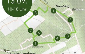 Flyer Wanderung