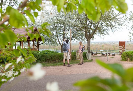 Wandern am "Roten Hang" in Nierstein, &copy; Michael Zellmer