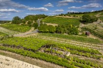 Sankt Johanner Klostergarten-008 Kopie