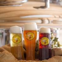 Rheinhessen-Br&auml;u &copy; Rheinhessen-Br&auml;u