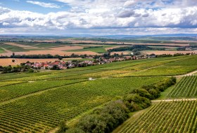 Sörgenlocher Moosberg