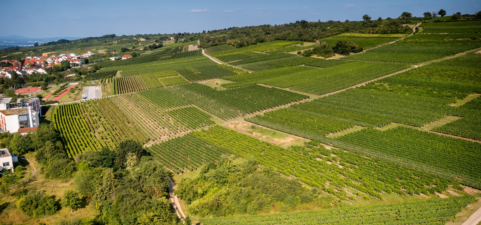 Ingelheimer Höllenweg