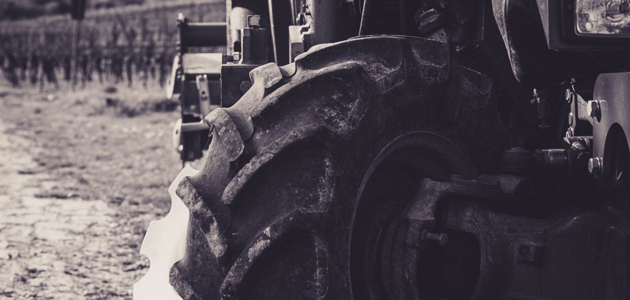 &copy; Weingut Schnabel