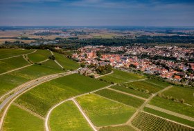 Oppenheimer Sackträger