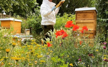 Manufakturen Woi Honey, © Ines Bischmann