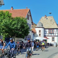 RheinRadeln 04 &copy; Rheinhessen-Touristk GmbH, Katja Zentel