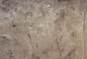 L&ouml;ss Tschernosem &copy; Landesamt f&uuml;r Geologie und Bergbau Rheinland-Pfalz