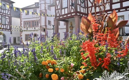 Der Selztalradweg im Herbst, © Heiko Müller