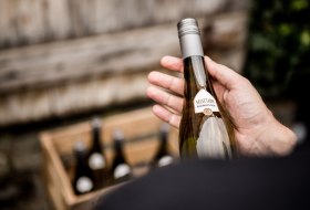 Selection Rheinhessen Philosophie © Sven Hasselbach