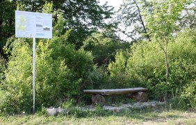 Gr&uuml;nes Klassenzimmer2 &copy; Angelika Friedrich