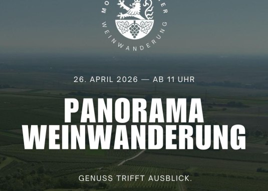 Panorama Weinwanderung
