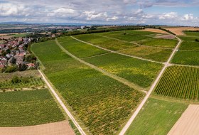 Sörgenlocher Moosberg