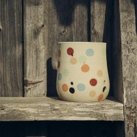 OBS_Nittenau_GIP1565_1600px