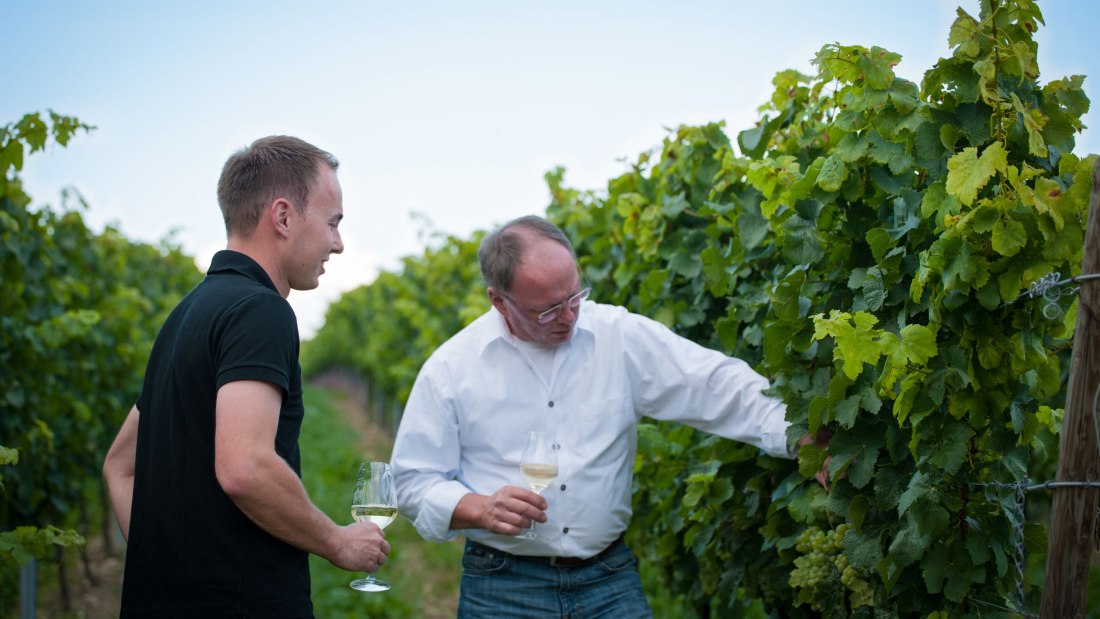 Weingut_Fritzsch_Sprendlingen_k