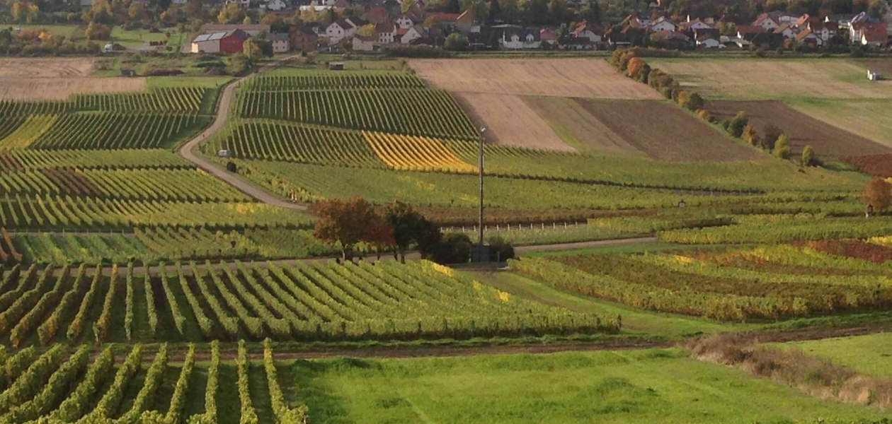 Winzerhof Schnabel_Weinberge, &copy; Winzerhof Schnabel