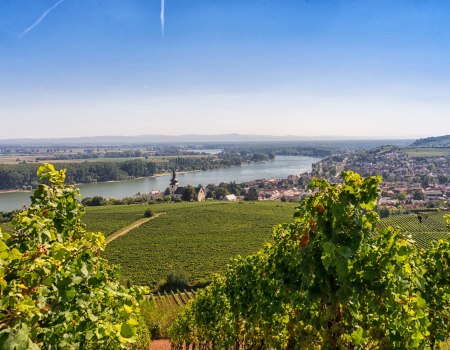 rtw-nachtrag-18-kgmueller_1, © Georg Müller