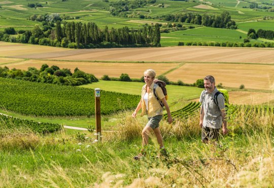 Wandelen op de Hiwweltour Stadecker Warte, &copy; &copy; Dominik Ketz