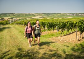 WeinWanderWochenende, © Dominik Ketz