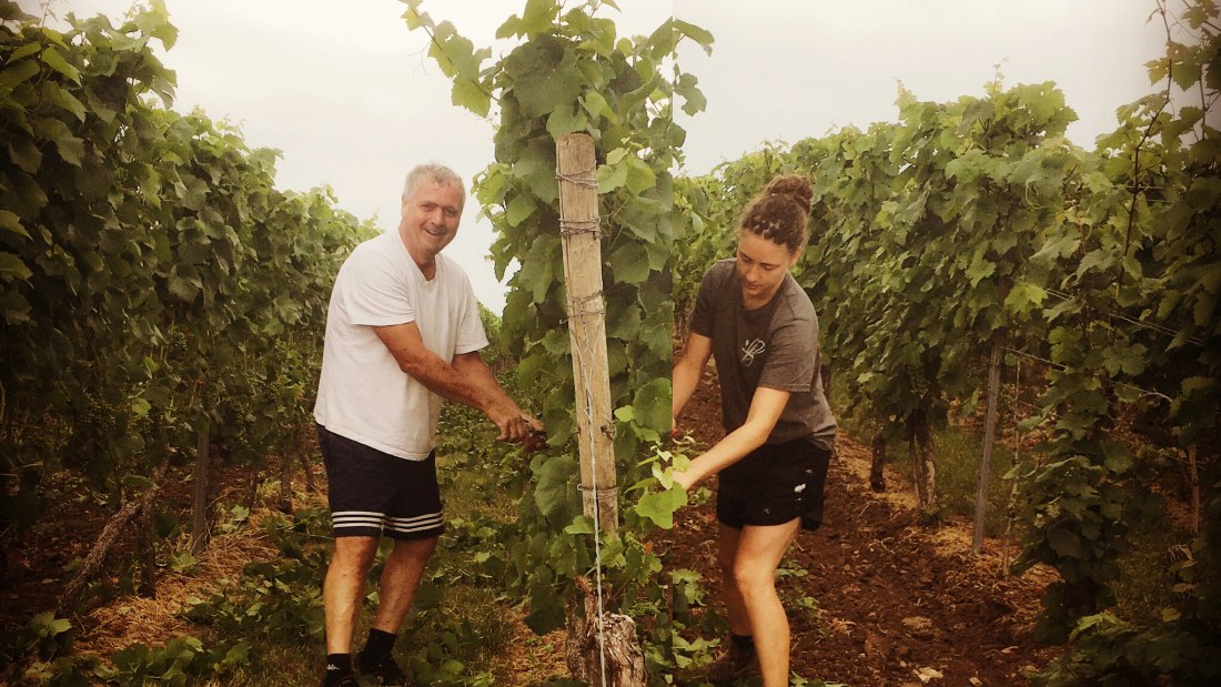 Weinmacher, © Weingut Sans-Lorch