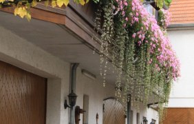 Weingut & G&auml;stezimmer Uwe Butzbach &copy; Weingut & G&auml;stezimmer Uwe Butzbach
