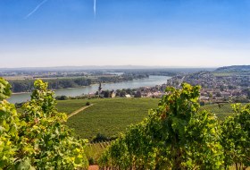 View from the RheinTerrassenWeg to Nierstein &copy; &copy; Georg M&uuml;ller