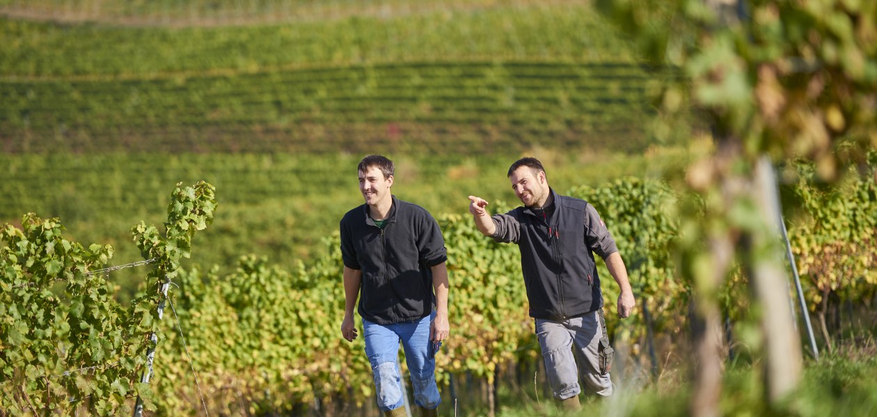 Weingut Geil_Winzer 3, &copy; Weingut Geil