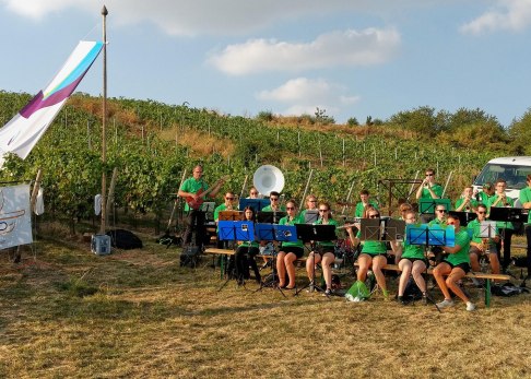 Bigband Selzen-Köngernheim spielt zur Weinprobe in den Weinbergen, © Frank Hamm