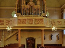 Organ 1