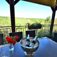 Weingut Lich Terasse 2 &copy; Weingut Lich