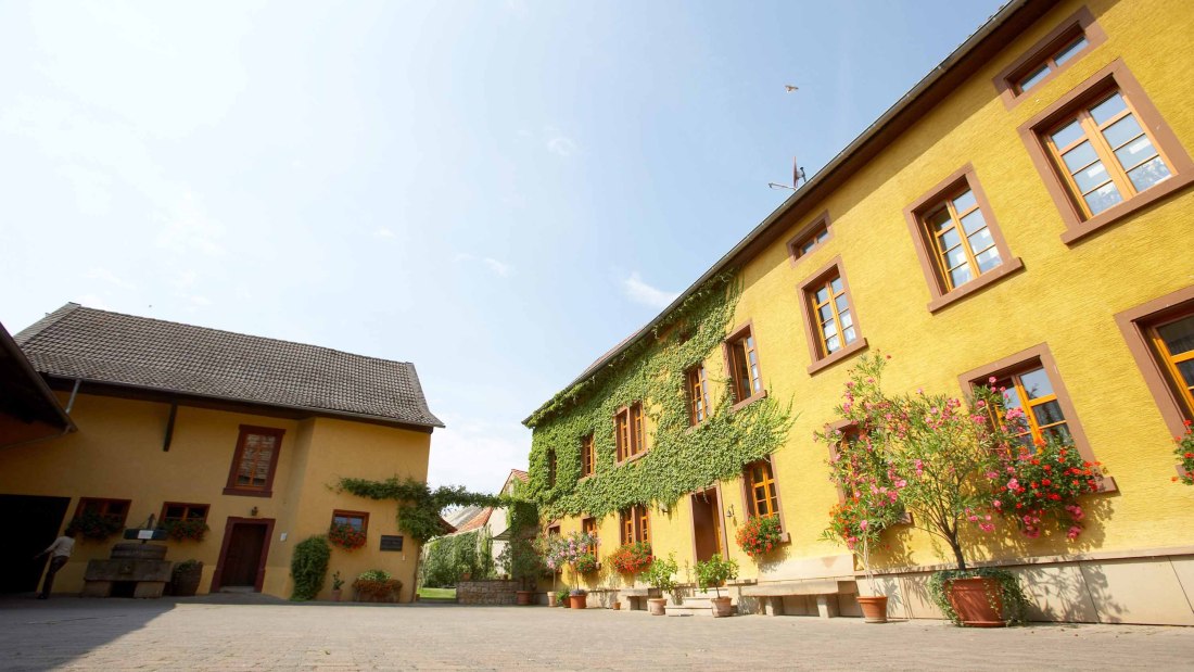&copy; Weingut Julian Wolf