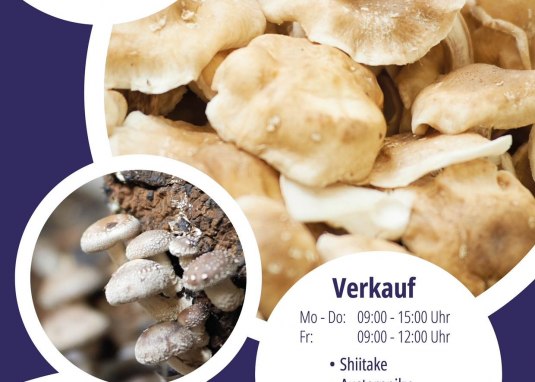 Pilzzucht 1 &copy; Evang. Diakoniewerk Zoar