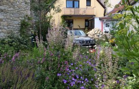 Garten_ &copy; S.Gutbier
