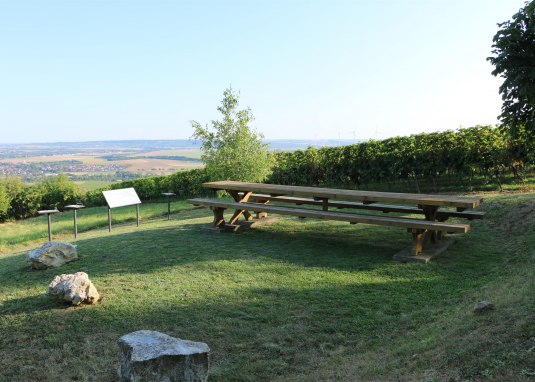 Weinbergs-Spaziergang Schiefster Turm der Welt &copy; Angelika Friedrich