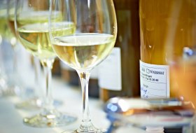 Grundwein Riesling