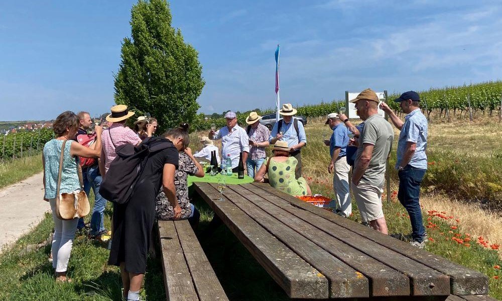 Reise durch die Welt des Weines, &copy; Guido Borowski