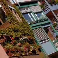 Klein-Venedig Uferbeauung Detail